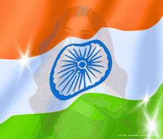 Team India GIF