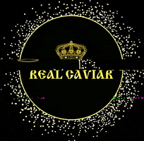 Real Caviar GIF