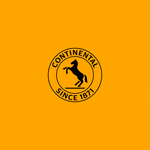 Freedom Driving GIF by Continental