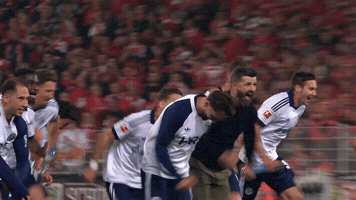Celebration Bundesliga GIF by FC Schalke 04