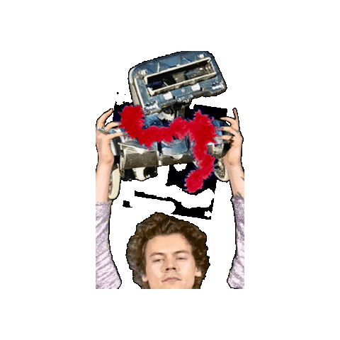 Harry Styles Sticker