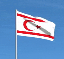 Trnc GIF