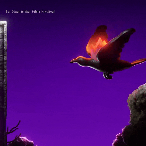 Flying On Fire GIF by La Guarimba Film Festival