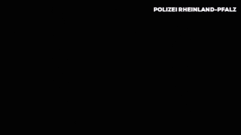 I See You Reaction GIF by Polizei Rheinland-Pfalz (GIF Image)