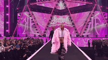 All In Wrestling GIF