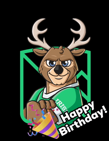 Birthday Elk GIF by Irish Monterrey