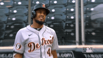 Sport No GIF by Detroit Tigers