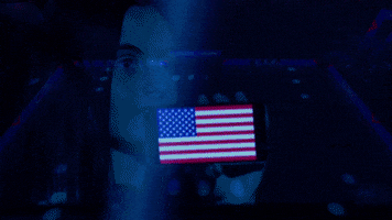 Usa Flag GIF by Volleyball World