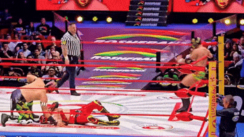 Lucha Libre Wrestling GIF