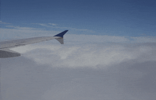 flying going through the GIF by hateplow