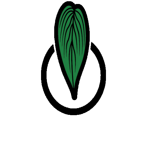 Plantlover Houseplants Sticker by pflanzenkarte