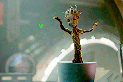 giphy.gif?cid=19f5b51a13fff83ec7e43822993ff1be8d85d9ccaa578773&rid=giphy.gif