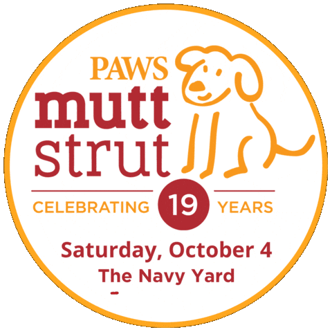 Dogs Strut Sticker by PhillyPAWS