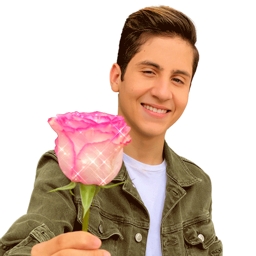 Hugo Henrique Oficial Sticker
