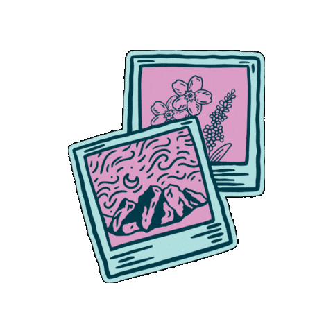 Alaska Wild Lights Sticker