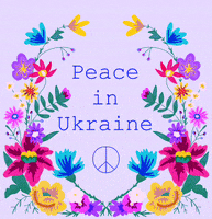 No War Peace GIF by Daisy Lemon