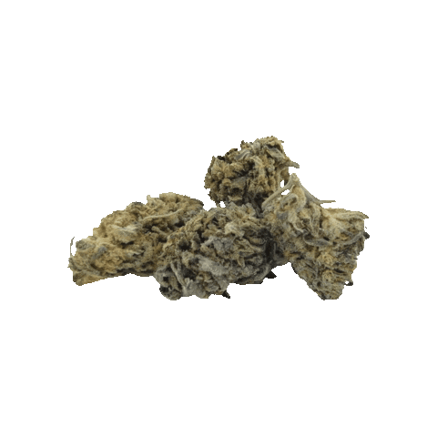 Le jardin du cbd Sticker