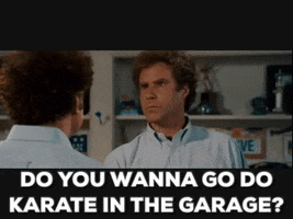 brooklynreich funny friends karate step brothers GIF