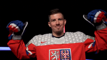 Český hokej GIF