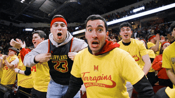 Yell Come On GIF by Maryland Terrapins