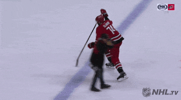 Ice Hockey GIF by NHL