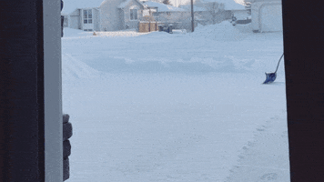 Winter GIF