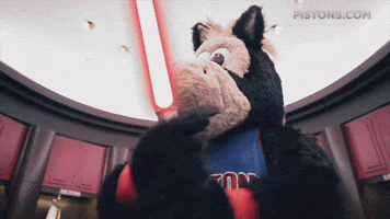 GIF by Detroit Pistons