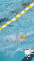 200.gif?cid=fc005b0877e016ada9c0107b3a7abc40f244055414b3fc19&rid=200.gif&ct=g