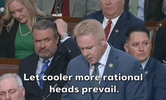 Calm Down Kevin Mccarthy GIF by GIPHY News