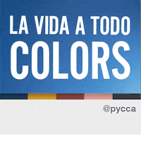 Colors Trend GIF by pycca