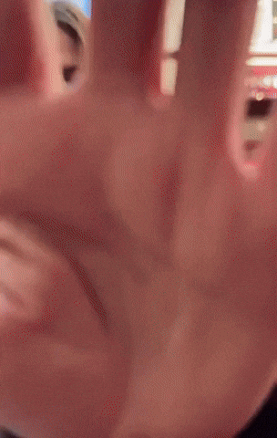 Fashion GIF