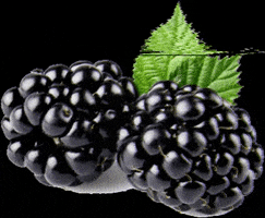 ApurimacETS GIF