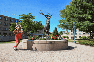 GIF by fairfieldu