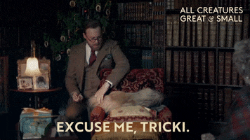 Sick Excuse Me GIF by All Creatures Great And Small
