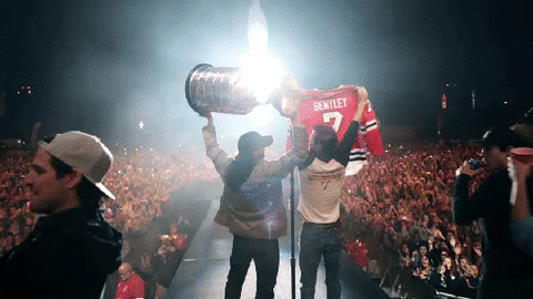 2015 stanley cup champions
