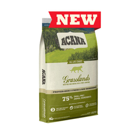 Acana Greece Sticker