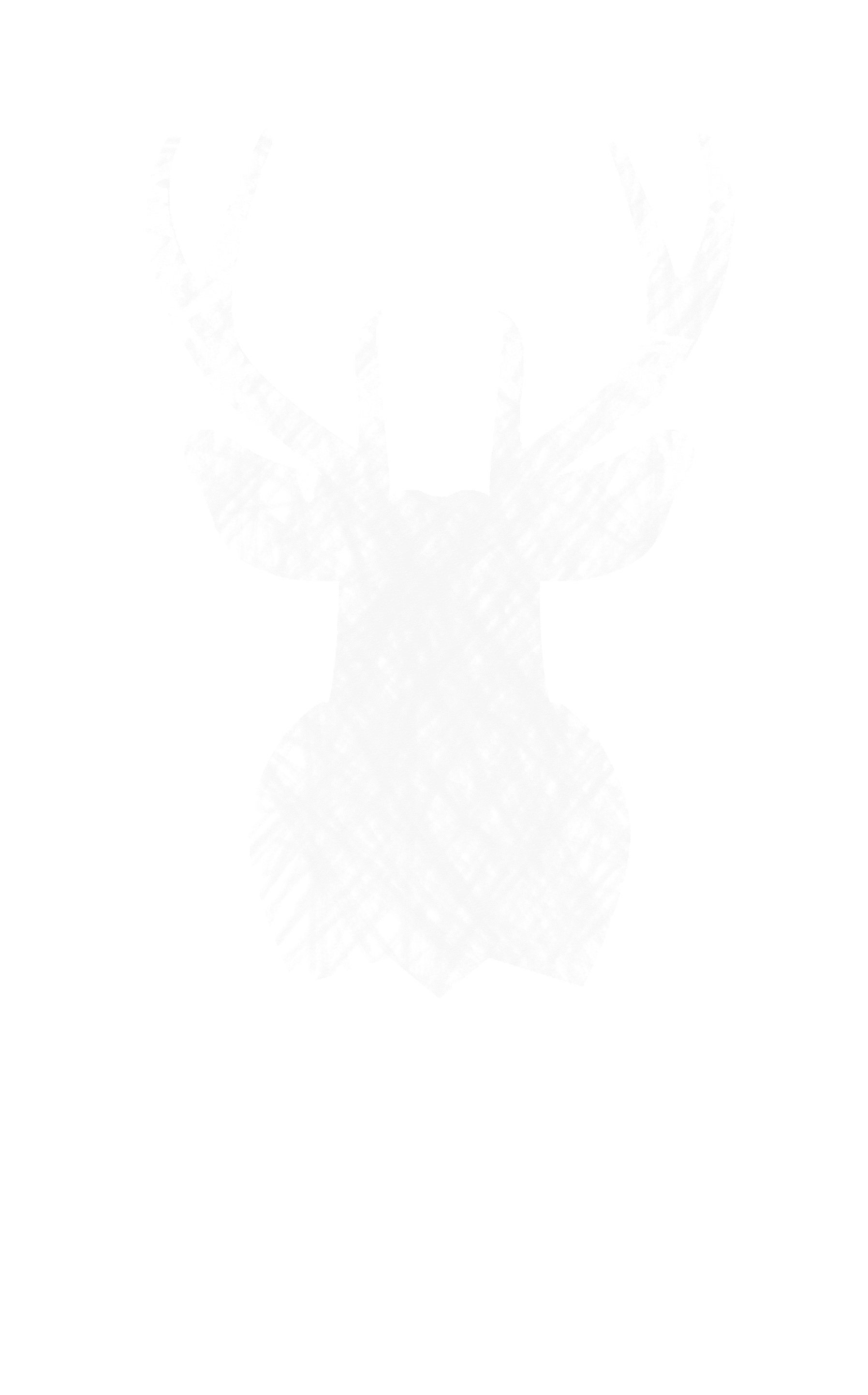 Mint Films Sticker