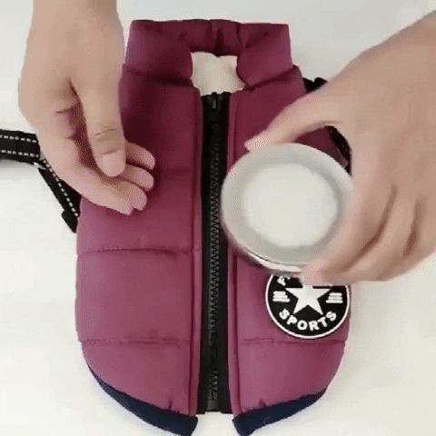 Animated GIF