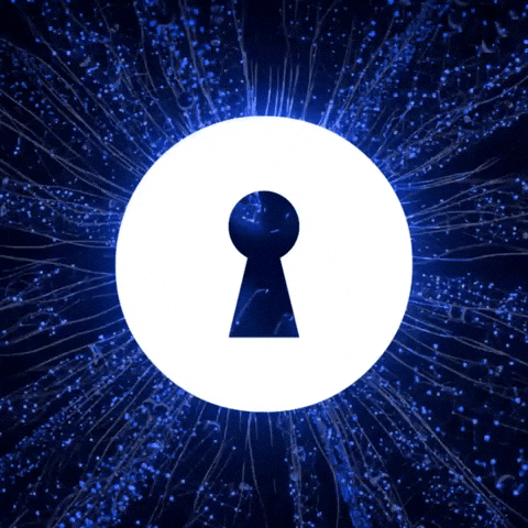 Keyhole GIF by OnePath Realty