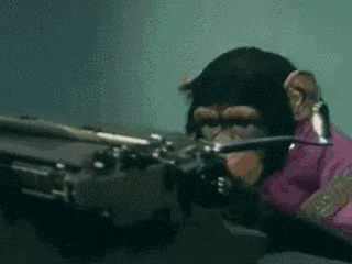  how writing seor assignment GIF