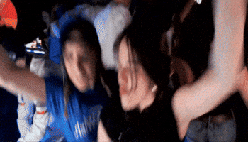 Festival Disco GIF