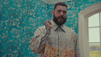 I Like You A Happier Song GIF by Post Malone
