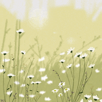Field Of View Relax GIF by Zezaz