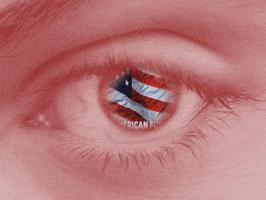 existence trump flag eye america GIF