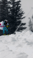 Team Usa GIF by U.S. Ski & Snowboard Team