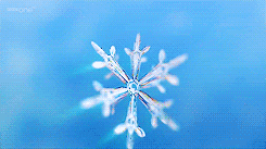 Video gif. Magnified shot of a snowflake as it grows and crystalizes over a cold blue background.