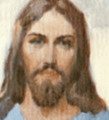 Meme GIF