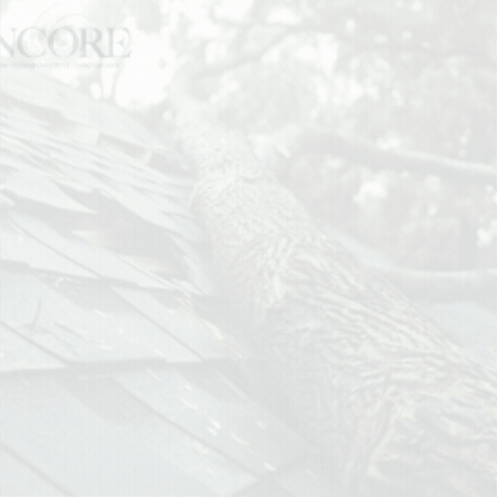 Tree Roof Damage Northville Michigan GIF