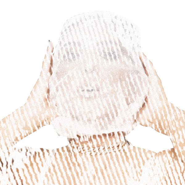 L E X Sticker