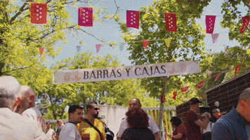 GIF by Más Madrid